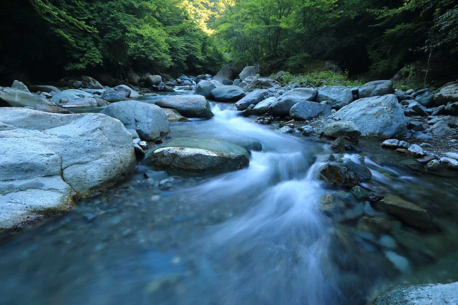 Russian River is great for kayaking and paddleboarding