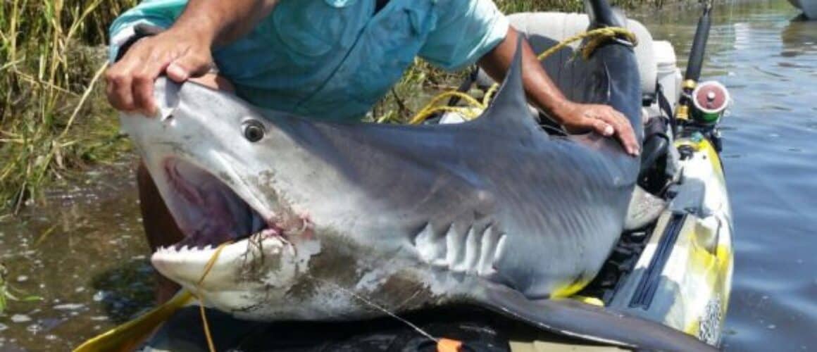 Angler on fishing kayak in open water