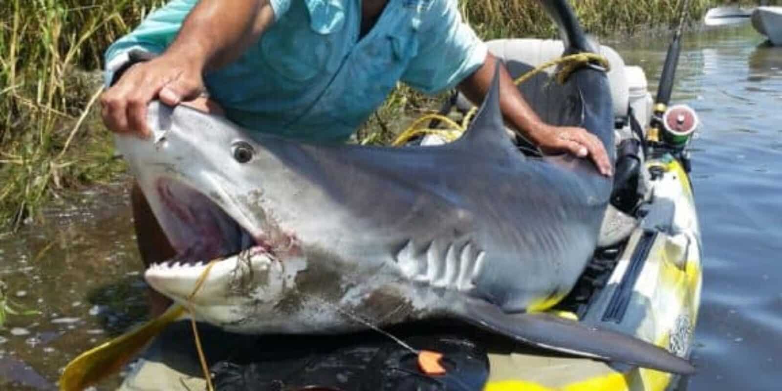 Angler on fishing kayak in open water