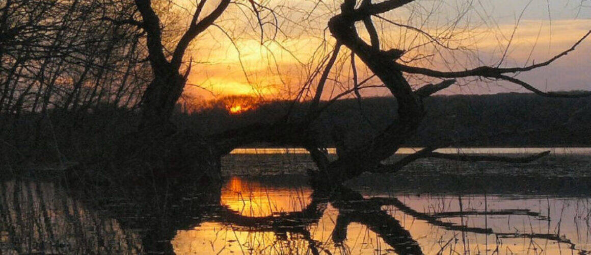 Boardwalk nature view near lake shore