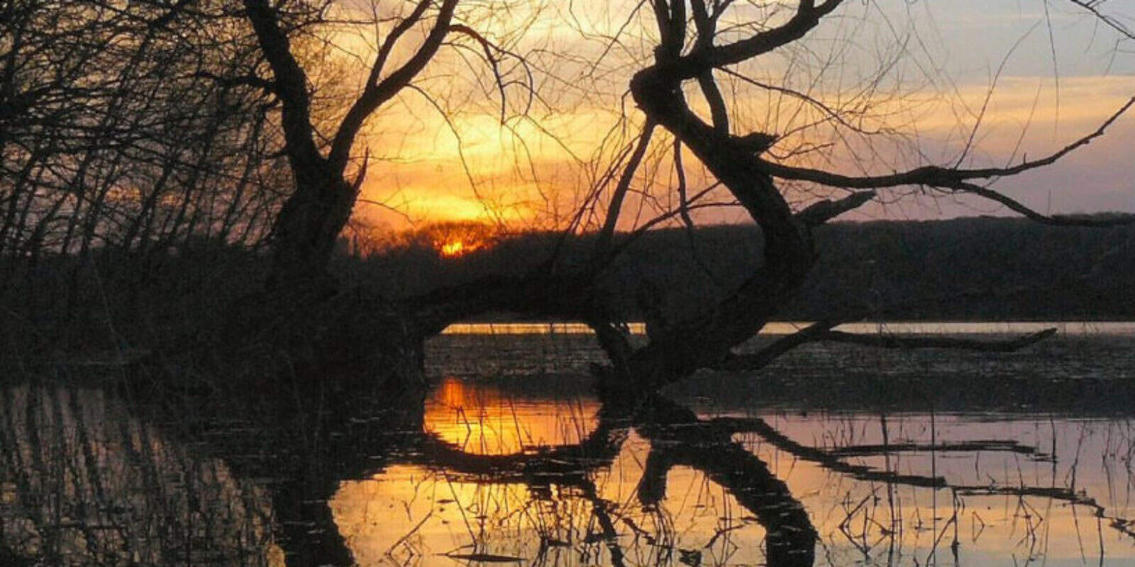 Boardwalk nature view near lake shore